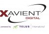 Xavient Digital announces plans to hire 250 Next-Gen IT employees